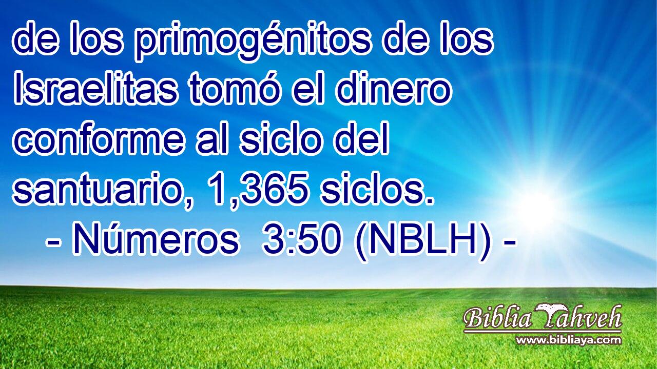  de los primogénitos de los Israelitas tomó el dinero conforme al siclo del santuario, 1,365 siclos. 