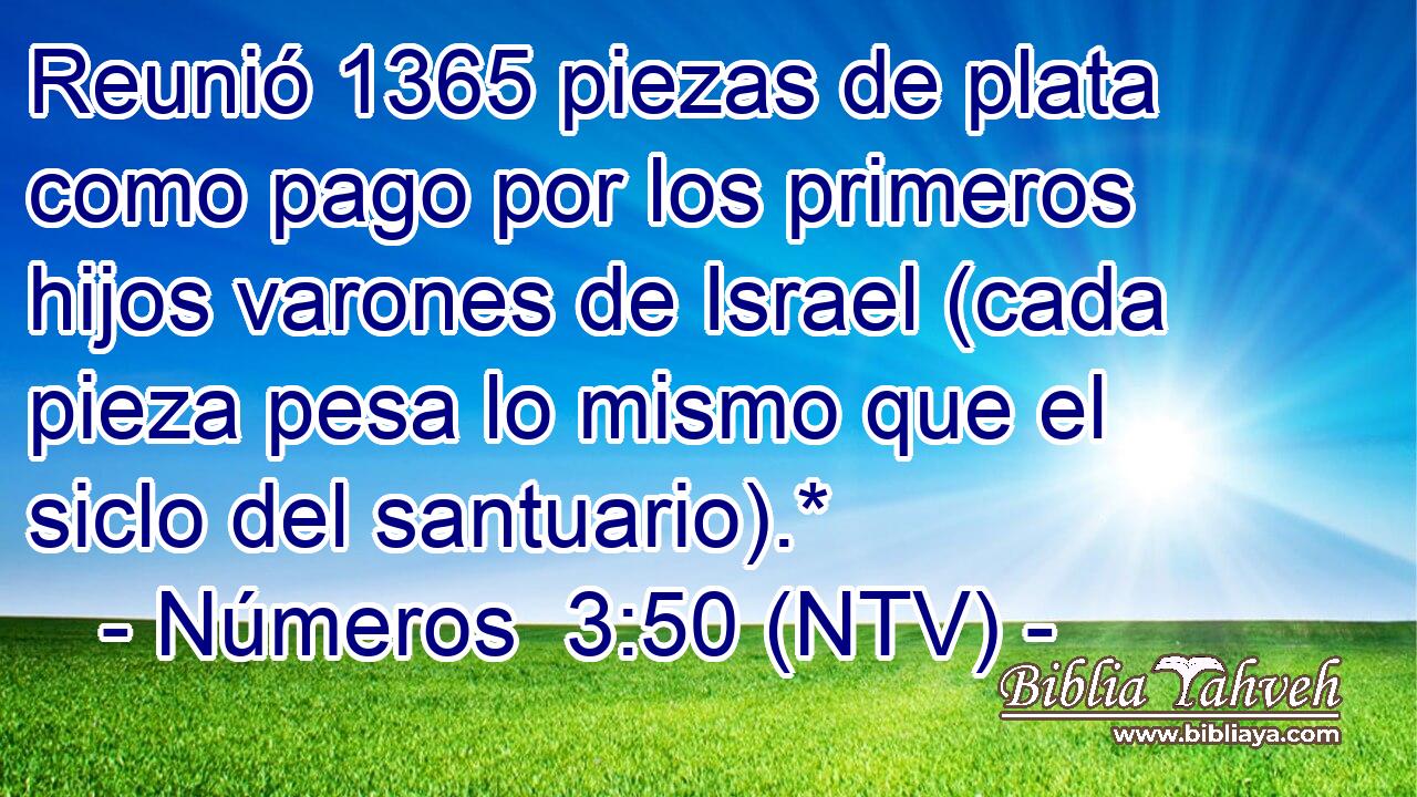 Reunió 1365 piezas de plata como pago por los primeros hijos varones de Israel (cada pieza pesa lo mismo que el siclo del santuario).*