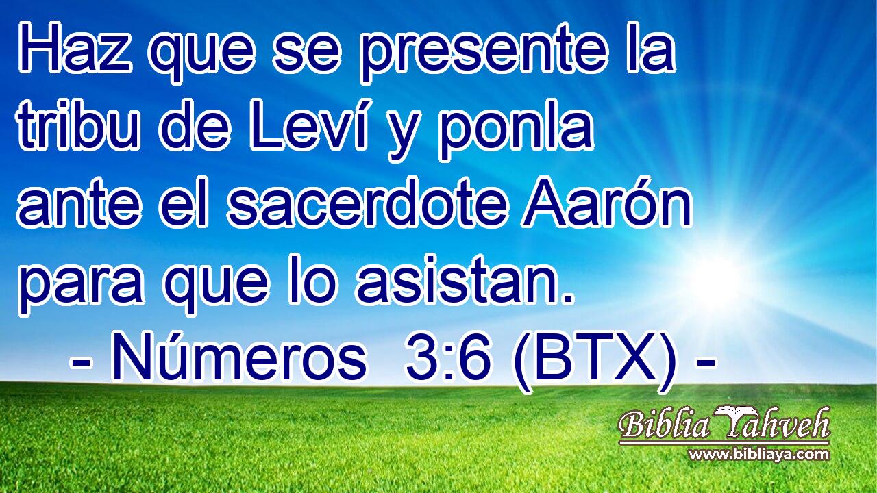 Haz que se presente la tribu de Leví y ponla ante el sacerdote Aarón para que lo asistan.