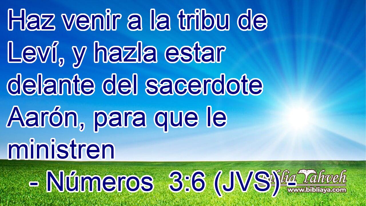 Haz venir a la tribu de Leví, y hazla estar delante del sacerdote Aarón, para que le ministren