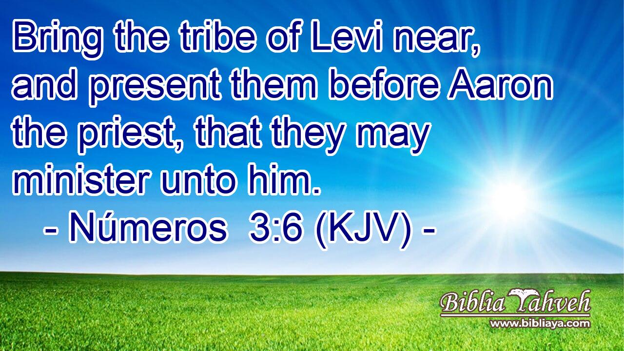 Bring the tribe of Levi near, and present them before Aaron the priest, that they may minister unto him.