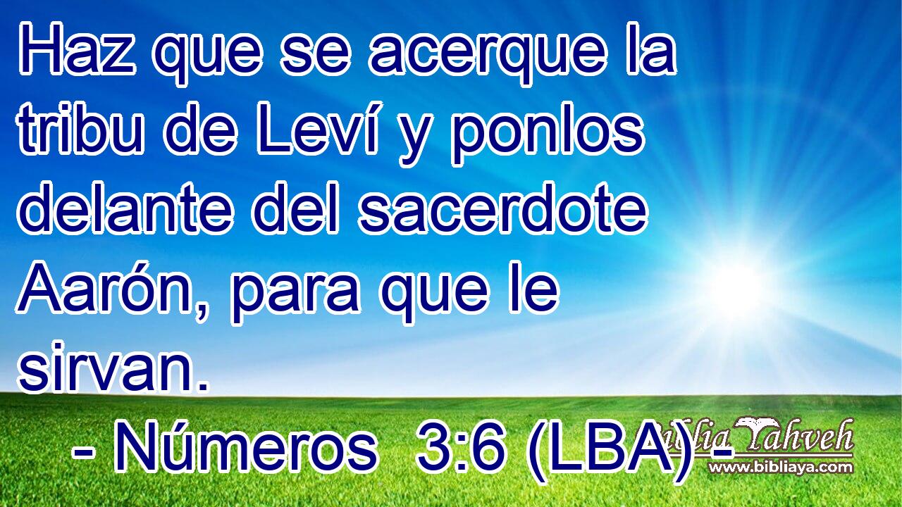 Haz que se acerque la tribu de Leví y ponlos delante del sacerdote Aarón, para que le sirvan.