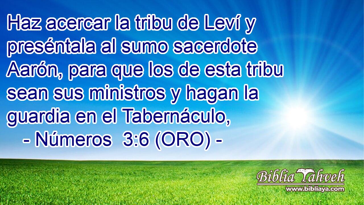  Haz acercar la tribu de Leví y preséntala al sumo sacerdote Aarón, para que los de esta tribu sean sus ministros y hagan la guardia en el Tabernáculo, 