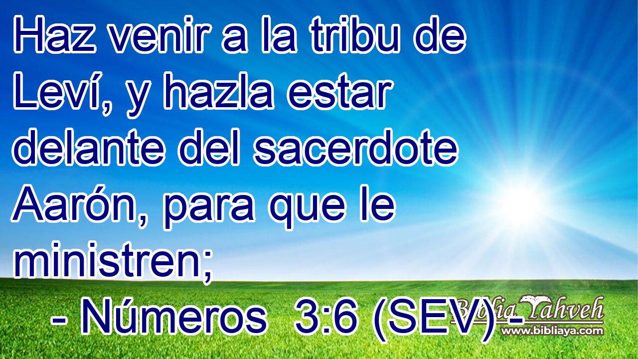 Haz venir a la tribu de Leví, y hazla estar delante del sacerdote Aarón, para que le ministren;