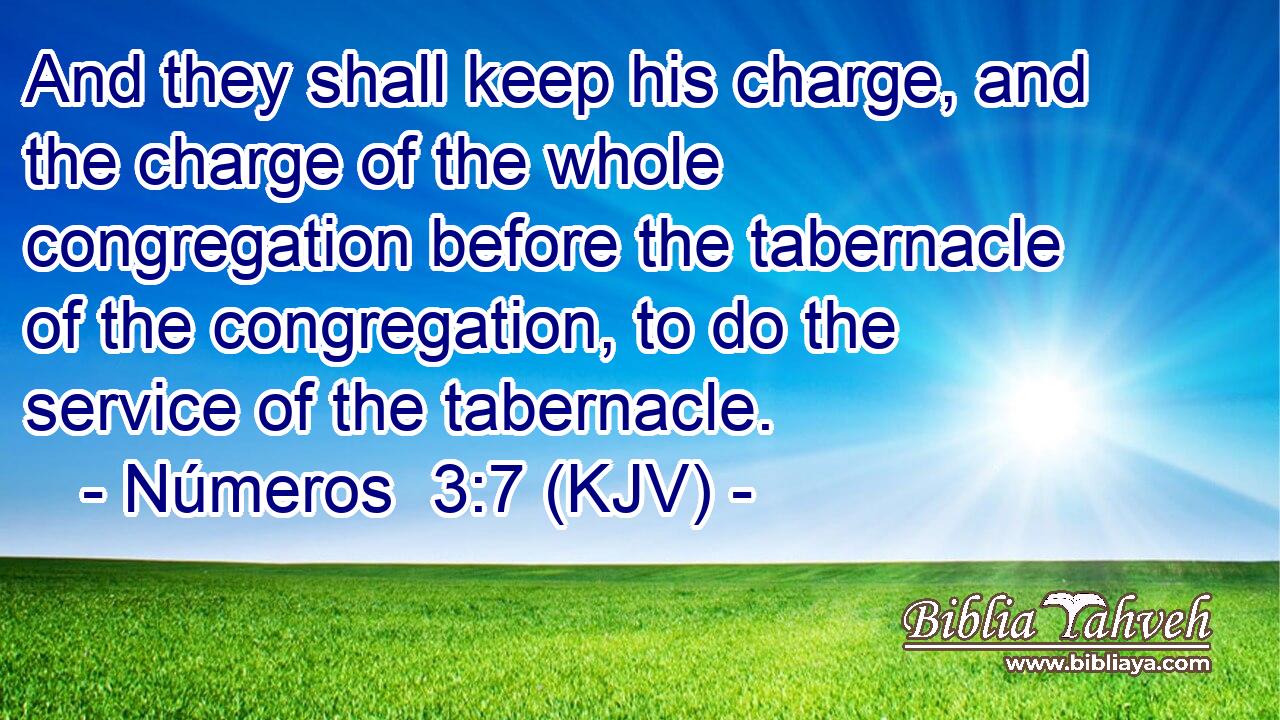 And they shall keep his charge, and the charge of the whole congregation before the tabernacle of the congregation, to do the service of the tabernacle.