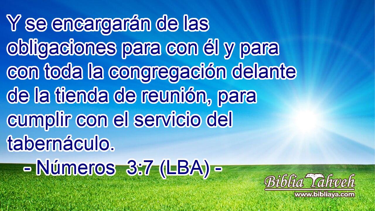 Y se encargarán de las obligaciones para con él y para con toda la congregación delante de la tienda de reunión, para cumplir con el servicio del tabernáculo.