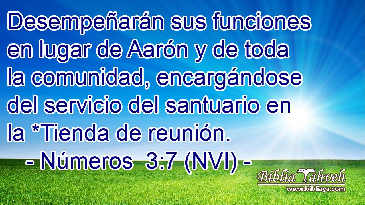  Desempeñarán sus funciones en lugar de Aarón y de toda la comunidad, encargándose del servicio del santuario en la *Tienda de reunión. 