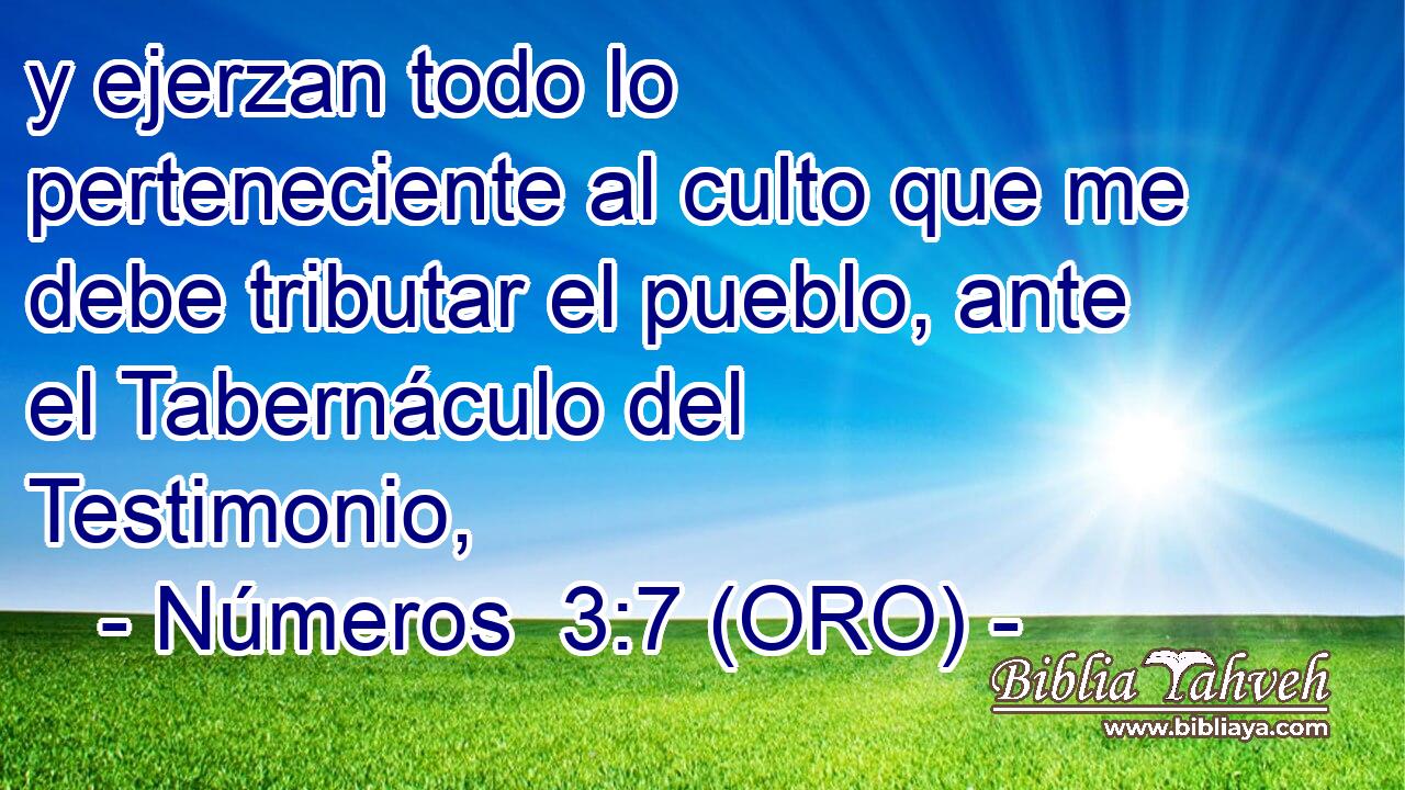  y ejerzan todo lo perteneciente al culto que me debe tributar el pueblo, ante el Tabernáculo del Testimonio, 