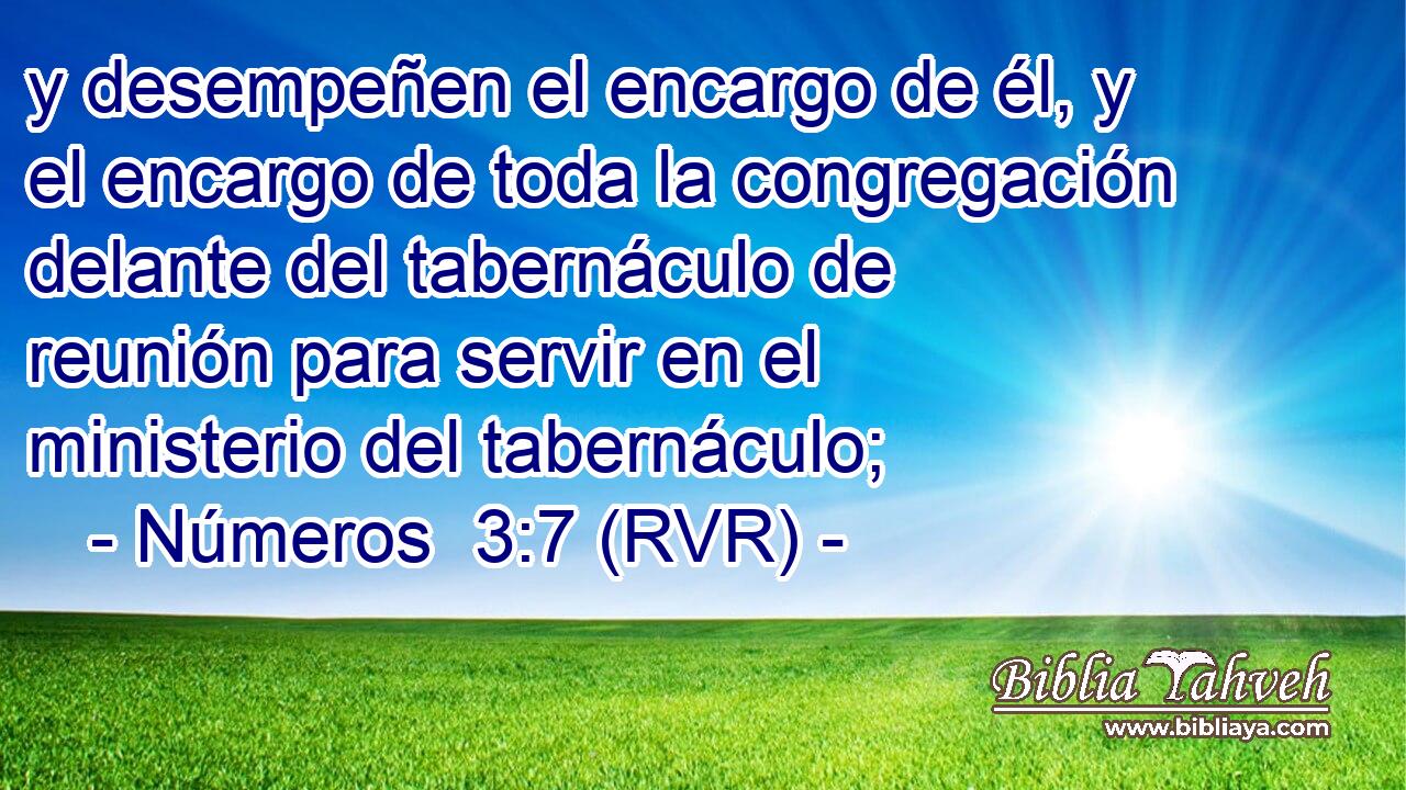 y desempeñen el encargo de él, y el encargo de toda la congregación delante del tabernáculo de reunión para servir en el ministerio del tabernáculo;