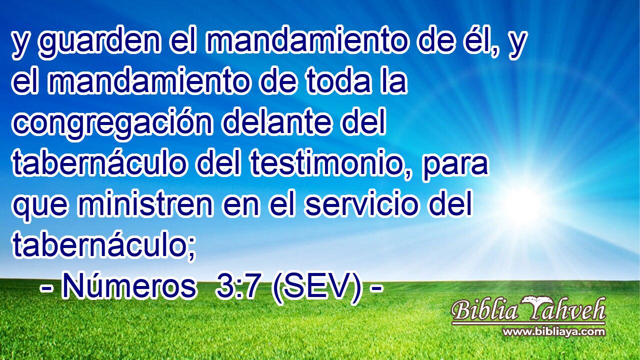 y guarden el mandamiento de él, y el mandamiento de toda la congregación delante del tabernáculo del testimonio, para que ministren en el servicio del tabernáculo;
