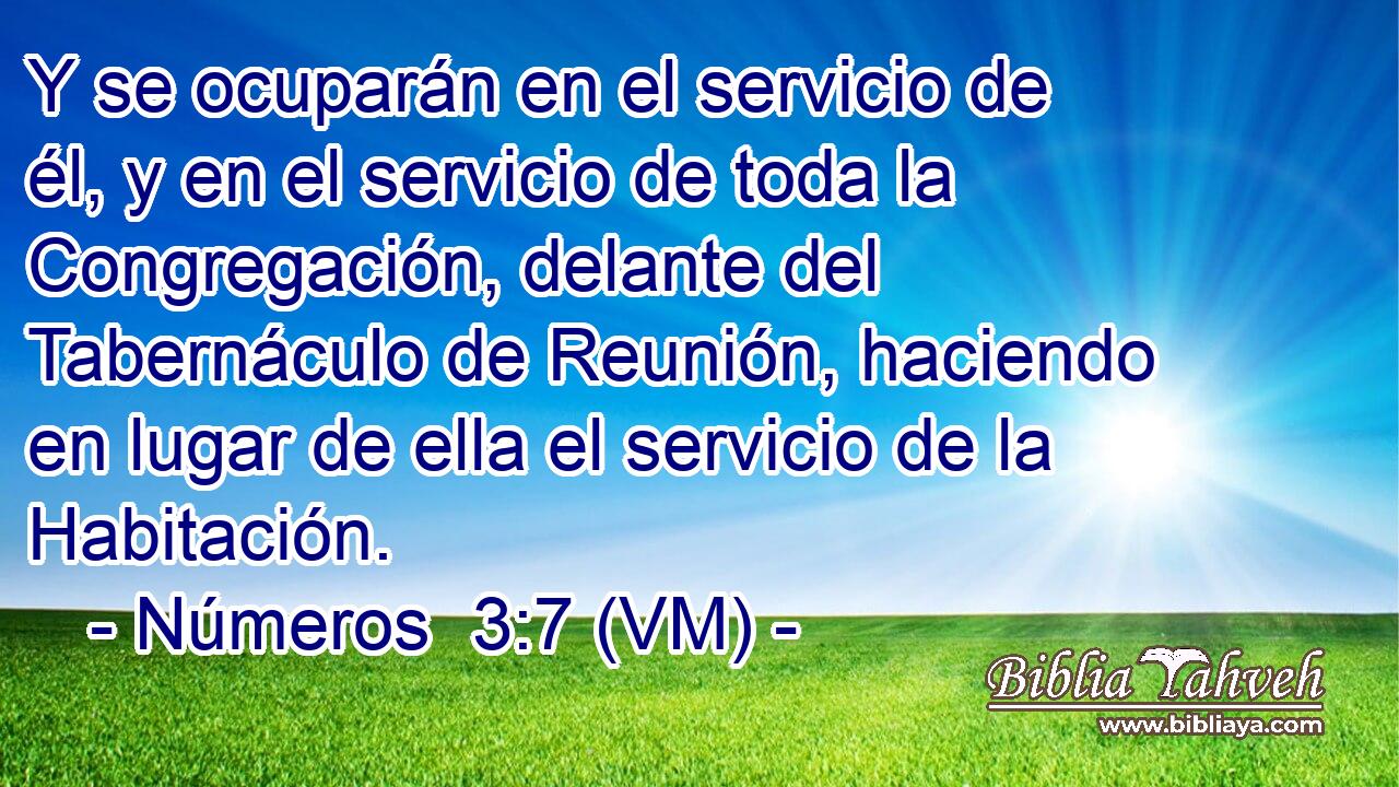  Y se ocuparán en el servicio de él, y en el servicio de toda la Congregación, delante del Tabernáculo de Reunión, haciendo en lugar de ella el servicio de la Habitación. 
