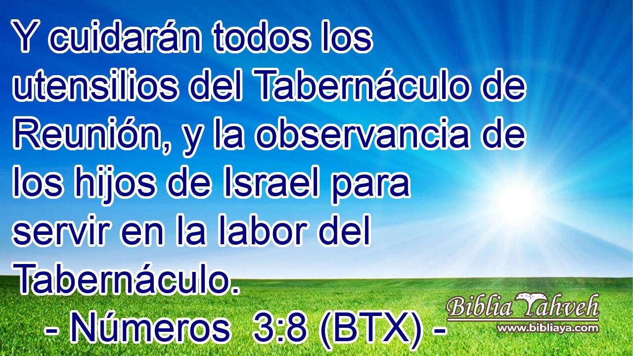 Y cuidarán todos los utensilios del Tabernáculo de Reunión, y la observancia de los hijos de Israel para servir en la labor del Tabernáculo.