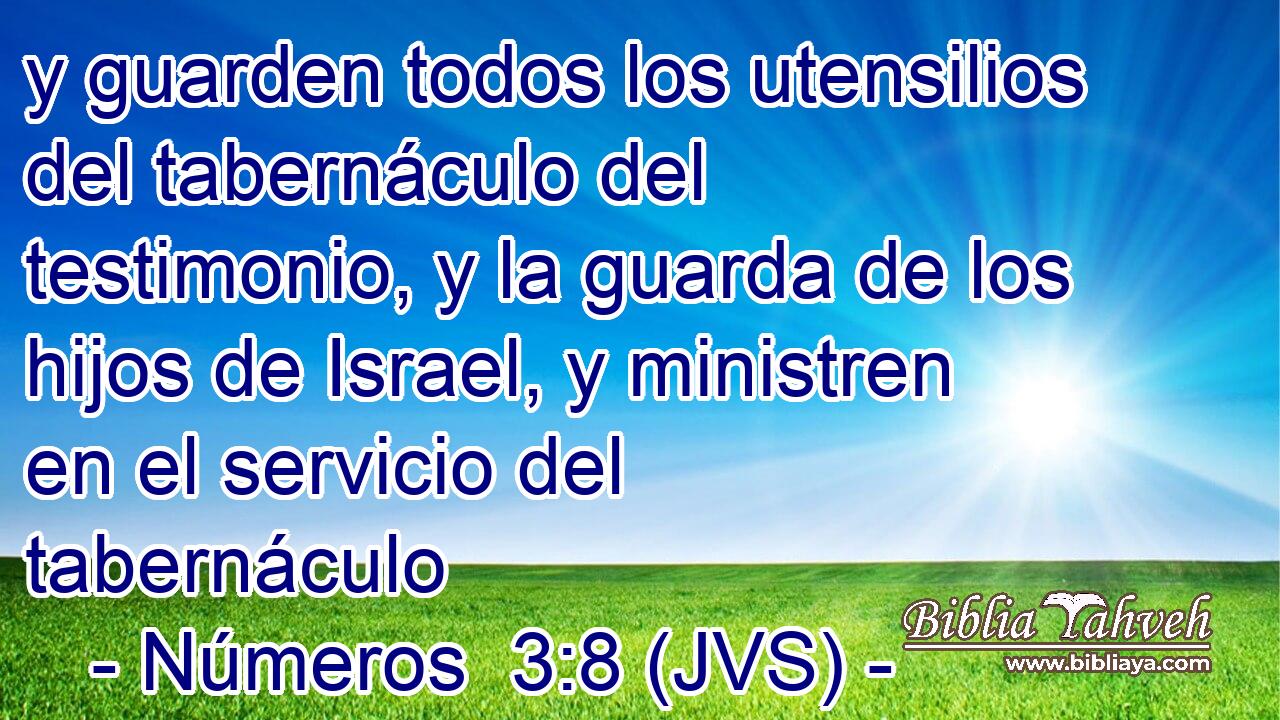 y guarden todos los utensilios del tabernáculo del testimonio, y la guarda de los hijos de Israel, y ministren en el servicio del tabernáculo