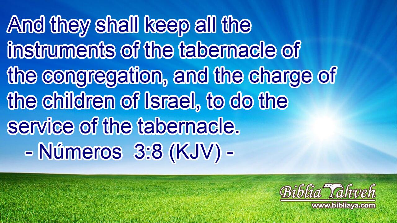 And they shall keep all the instruments of the tabernacle of the congregation, and the charge of the children of Israel, to do the service of the tabernacle.