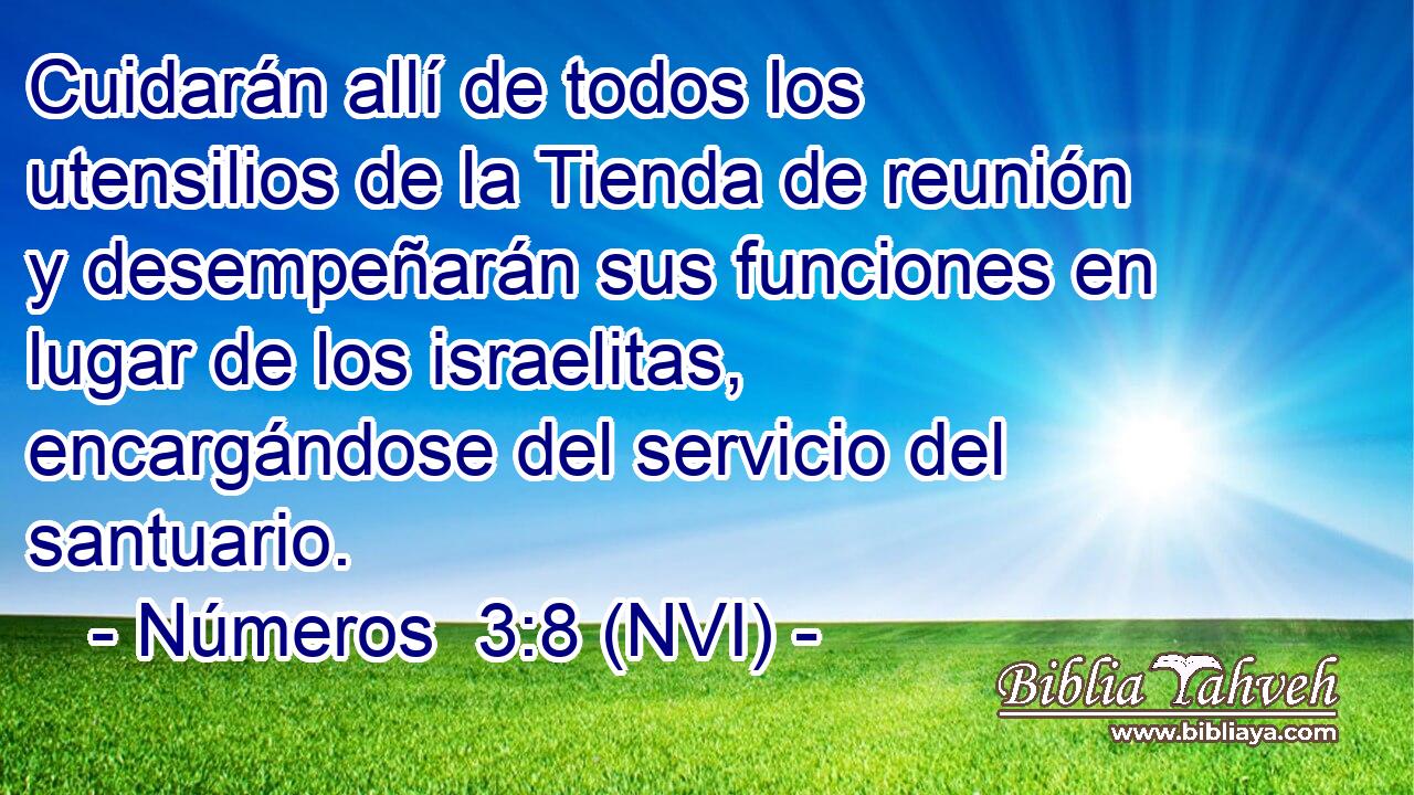  Cuidarán allí de todos los utensilios de la Tienda de reunión y desempeñarán sus funciones en lugar de los israelitas, encargándose del servicio del santuario. 