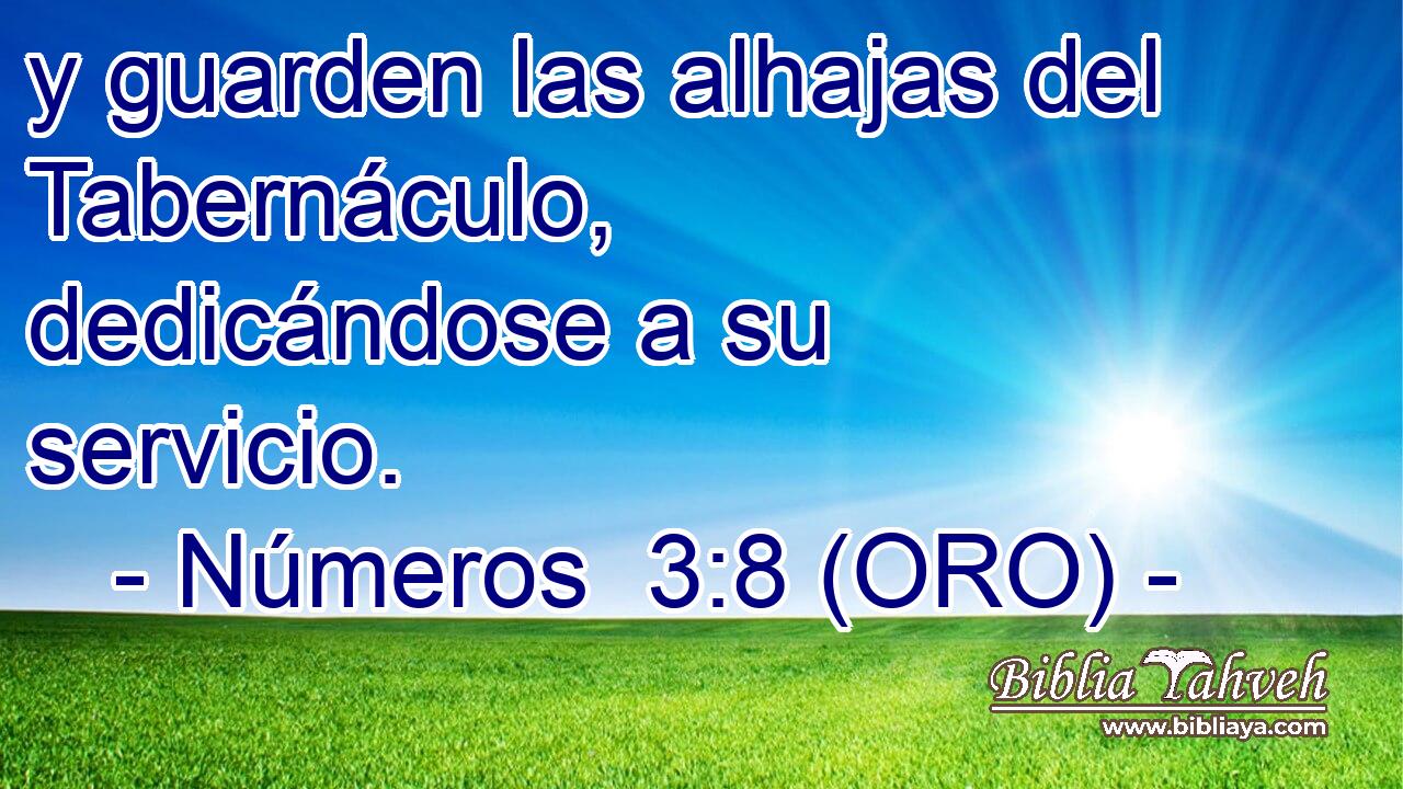  y guarden las alhajas del Tabernáculo, dedicándose a su servicio. 