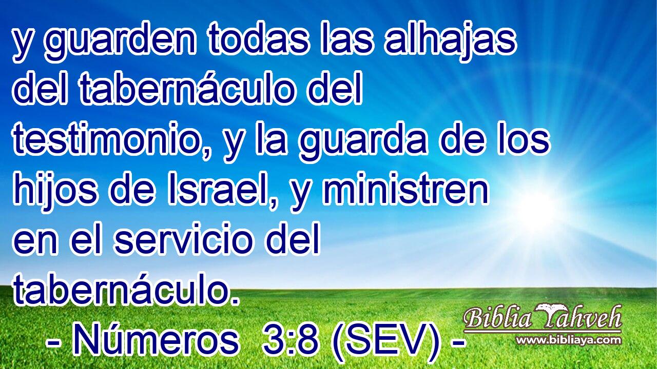 y guarden todas las alhajas del tabernáculo del testimonio, y la guarda de los hijos de Israel, y ministren en el servicio del tabernáculo.