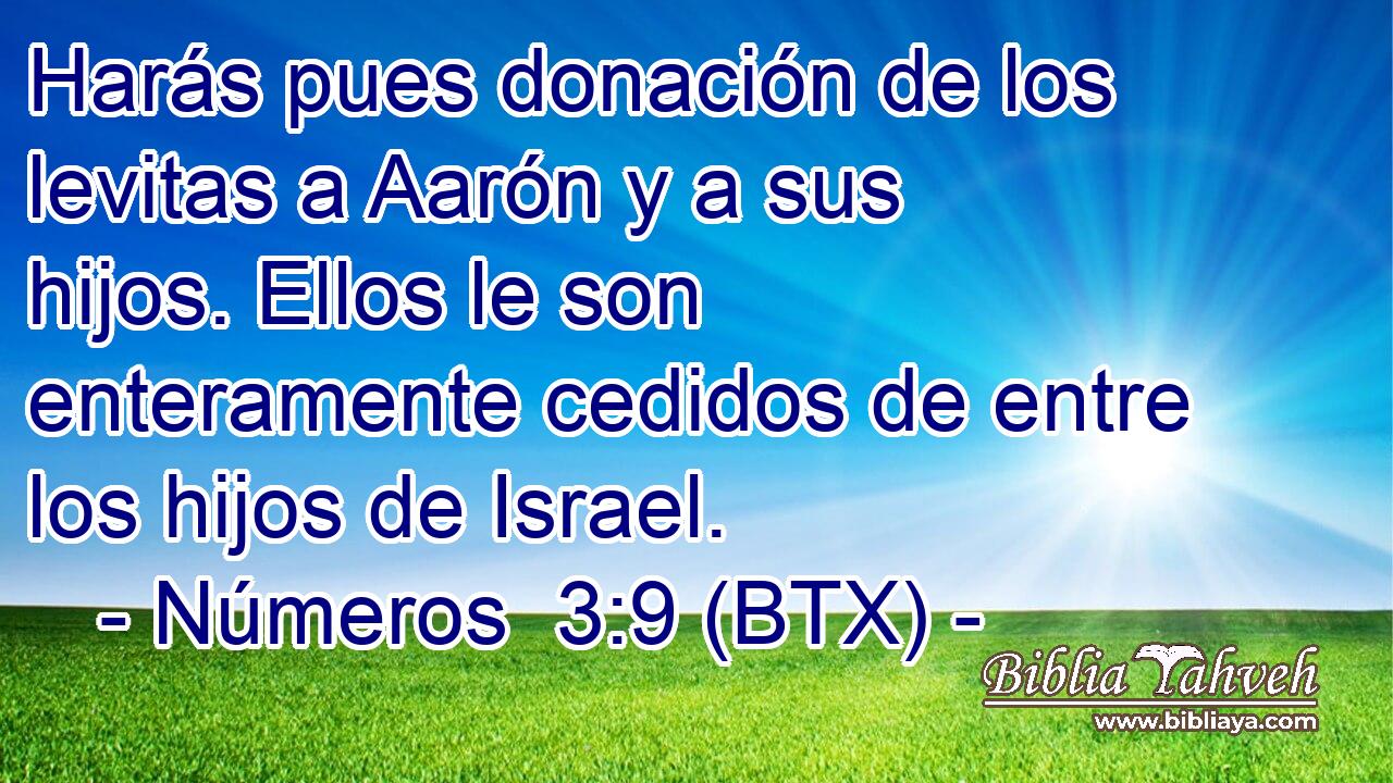 Harás pues donación de los levitas a Aarón y a sus hijos. Ellos le son enteramente cedidos de entre los hijos de Israel.