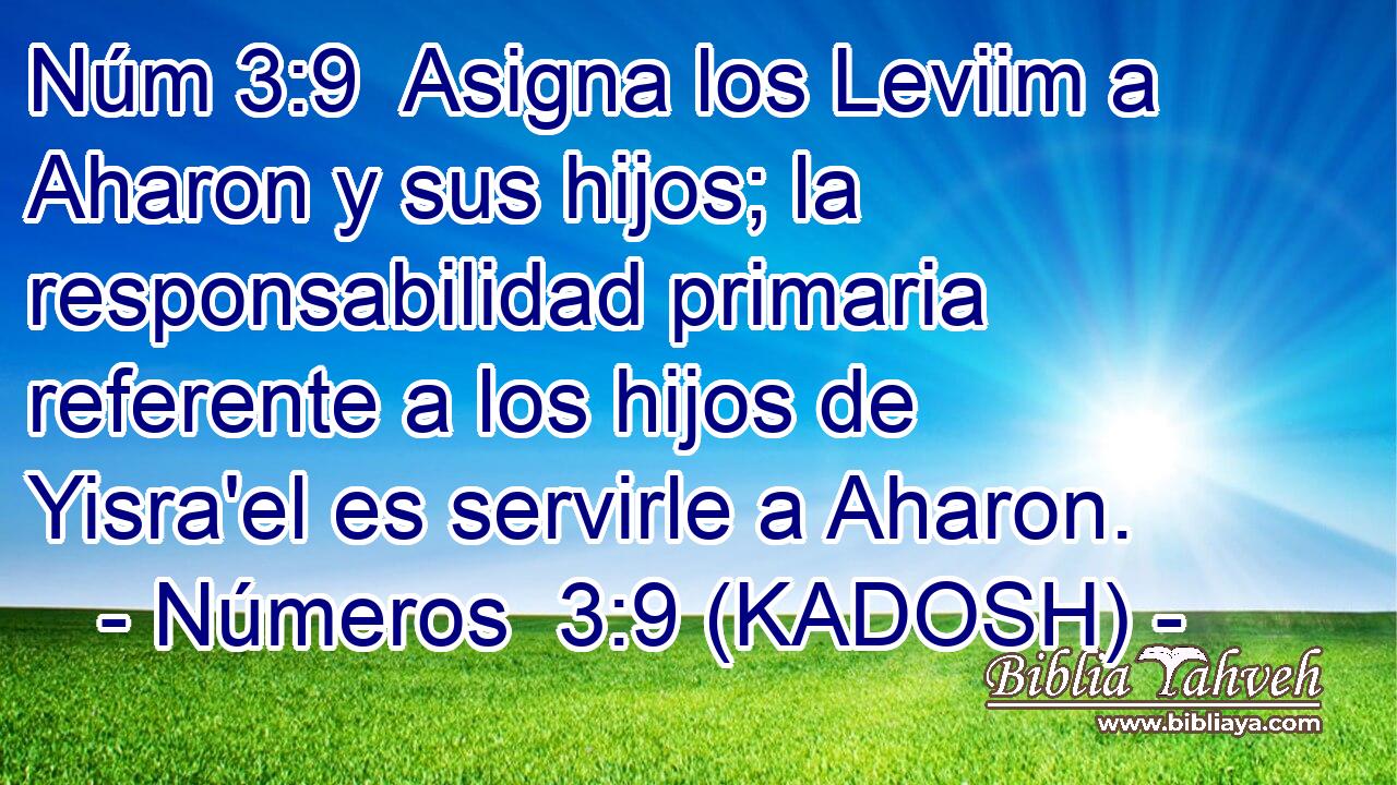  Asigna los Leviim a Aharon y sus hijos; la responsabilidad primaria referente a los hijos de Yisra'el es servirle a Aharon. 