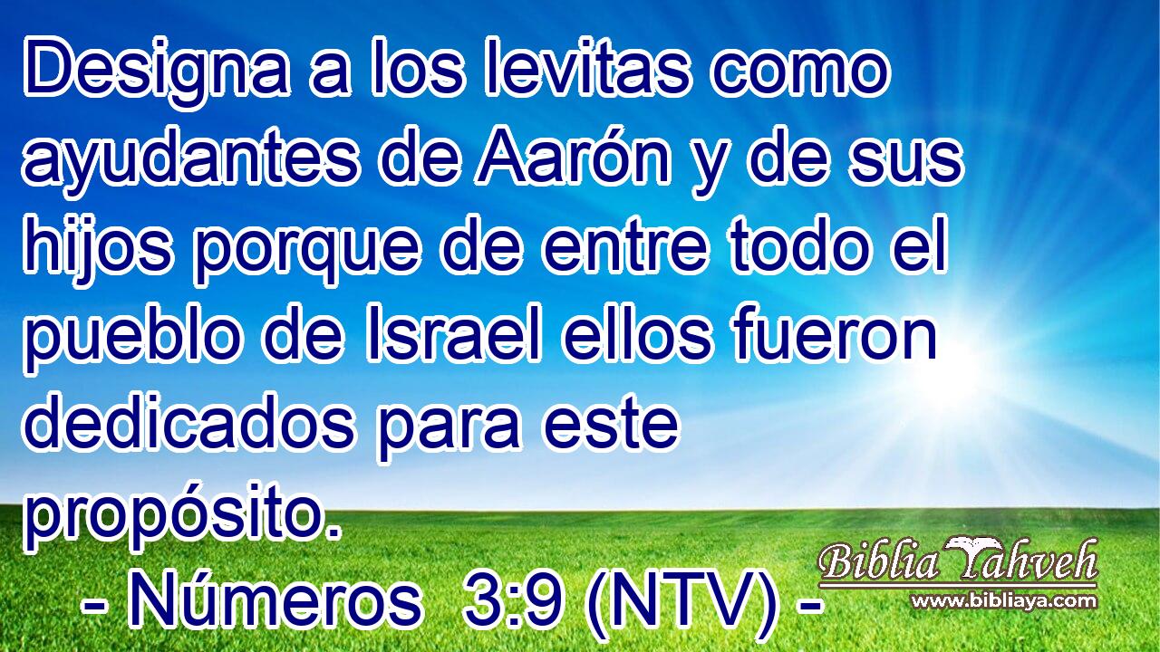 Designa a los levitas como ayudantes de Aarón y de sus hijos porque de entre todo el pueblo de Israel ellos fueron dedicados para este propósito.