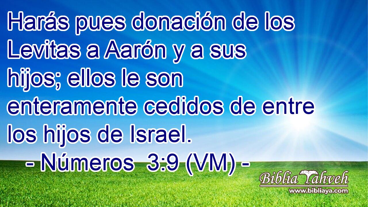  Harás pues donación de los Levitas a Aarón y a sus hijos; ellos le son enteramente cedidos de entre los hijos de Israel. 