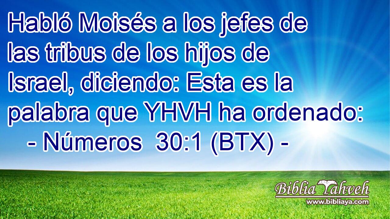 Habló Moisés a los jefes de las tribus de los hijos de Israel, diciendo: Esta es la palabra que YHVH ha ordenado: