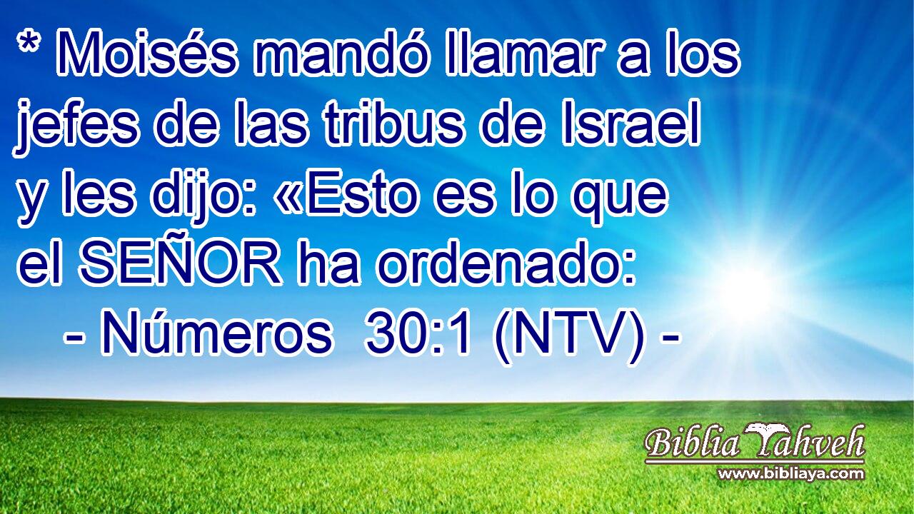 * Moisés mandó llamar a los jefes de las tribus de Israel y les dijo: «Esto es lo que el SEÑOR ha ordenado: