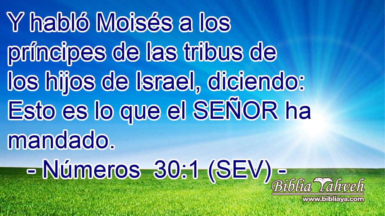 Y habló Moisés a los príncipes de las tribus de los hijos de Israel, diciendo: Esto es lo que el SEÑOR ha mandado.