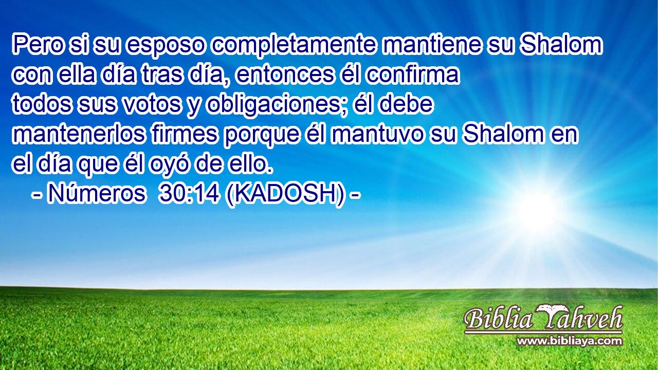  Pero si su esposo completamente mantiene su Shalom con ella día tras día, entonces él confirma todos sus votos y obligaciones; él debe mantenerlos firmes porque él mantuvo su Shalom en el día que él oyó de ello. 