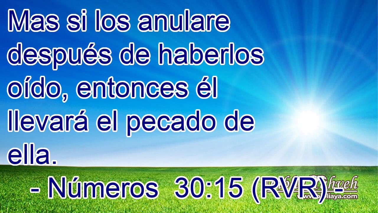 Mas si los anulare después de haberlos oído, entonces él llevará el pecado de ella.
