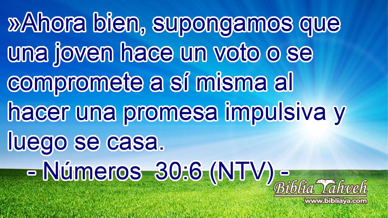 »Ahora bien, supongamos que una joven hace un voto o se compromete a sí misma al hacer una promesa impulsiva y luego se casa.