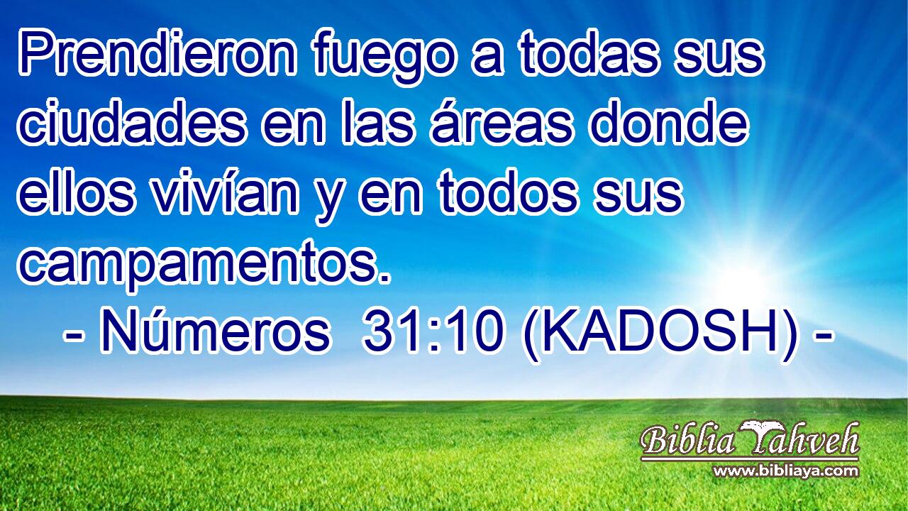  Prendieron fuego a todas sus ciudades en las áreas donde ellos vivían y en todos sus campamentos. 