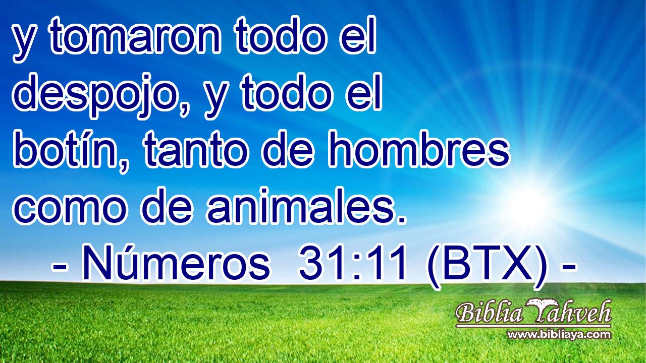 y tomaron todo el despojo, y todo el botín, tanto de hombres como de animales.