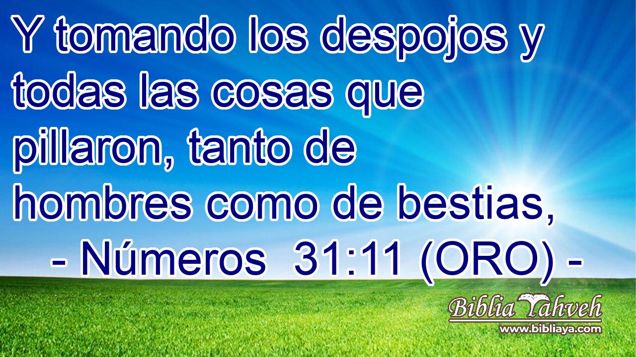  Y tomando los despojos y todas las cosas que pillaron, tanto de hombres como de bestias, 