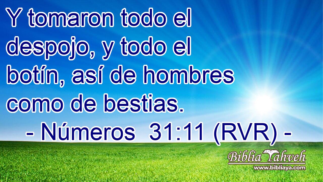 Y tomaron todo el despojo, y todo el botín, así de hombres como de bestias.