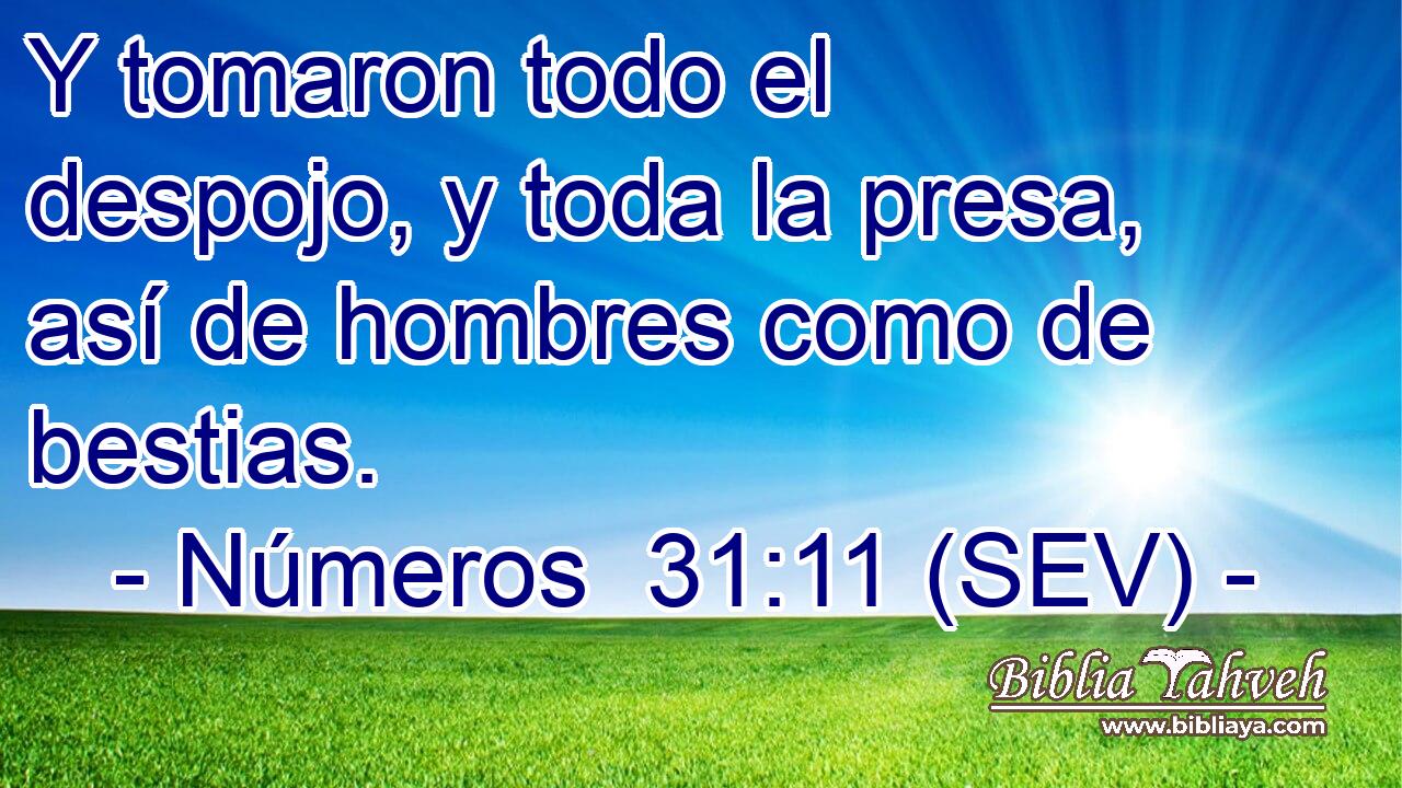 Y tomaron todo el despojo, y toda la presa, así de hombres como de bestias.