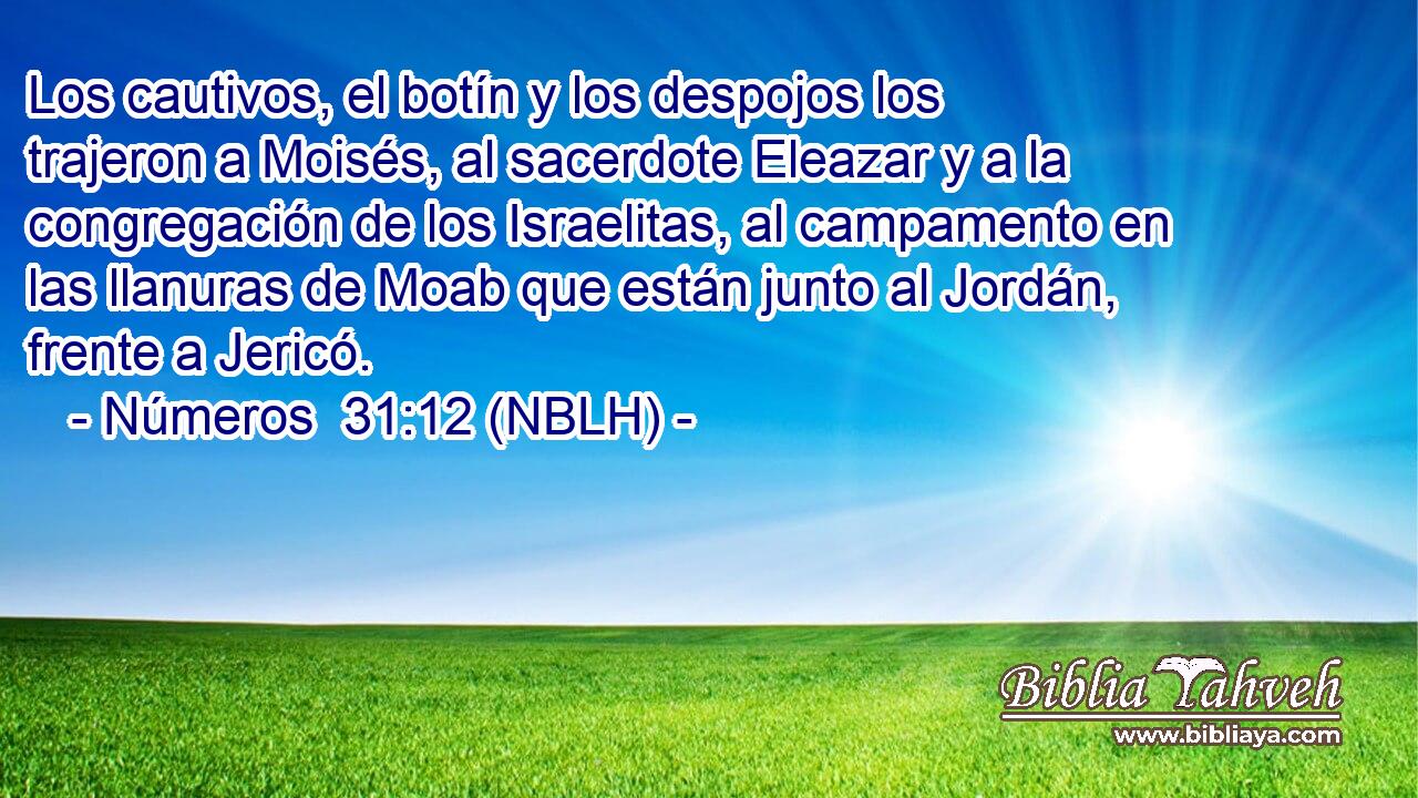  Los cautivos, el botín y los despojos los trajeron a Moisés, al sacerdote Eleazar y a la congregación de los Israelitas, al campamento en las llanuras de Moab que están junto al Jordán, frente a Jericó. 