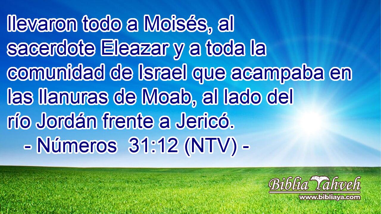 llevaron todo a Moisés, al sacerdote Eleazar y a toda la comunidad de Israel que acampaba en las llanuras de Moab, al lado del río Jordán frente a Jericó.