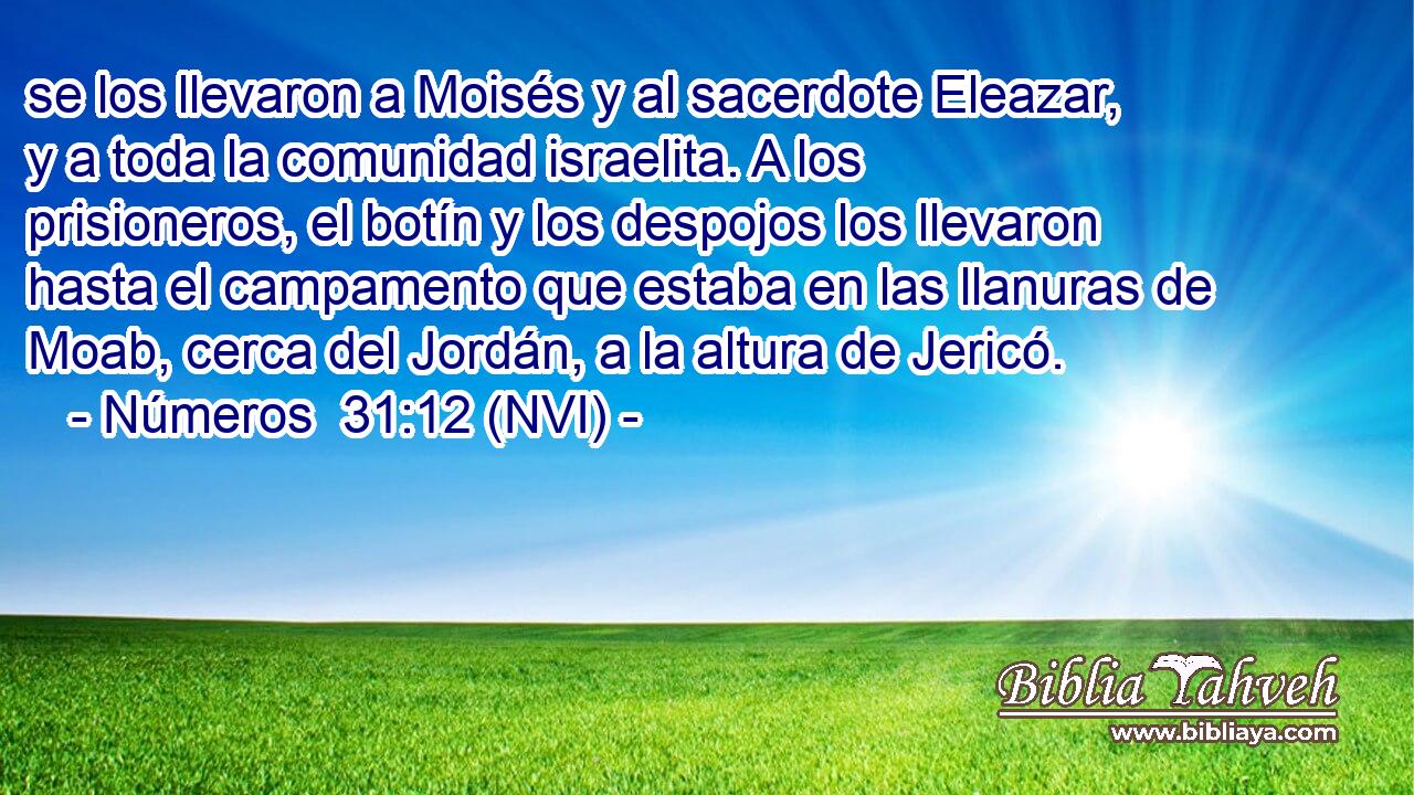  se los llevaron a Moisés y al sacerdote Eleazar, y a toda la comunidad israelita. A los prisioneros, el botín y los despojos los llevaron hasta el campamento que estaba en las llanuras de Moab, cerca del Jordán, a la altura de Jericó. 