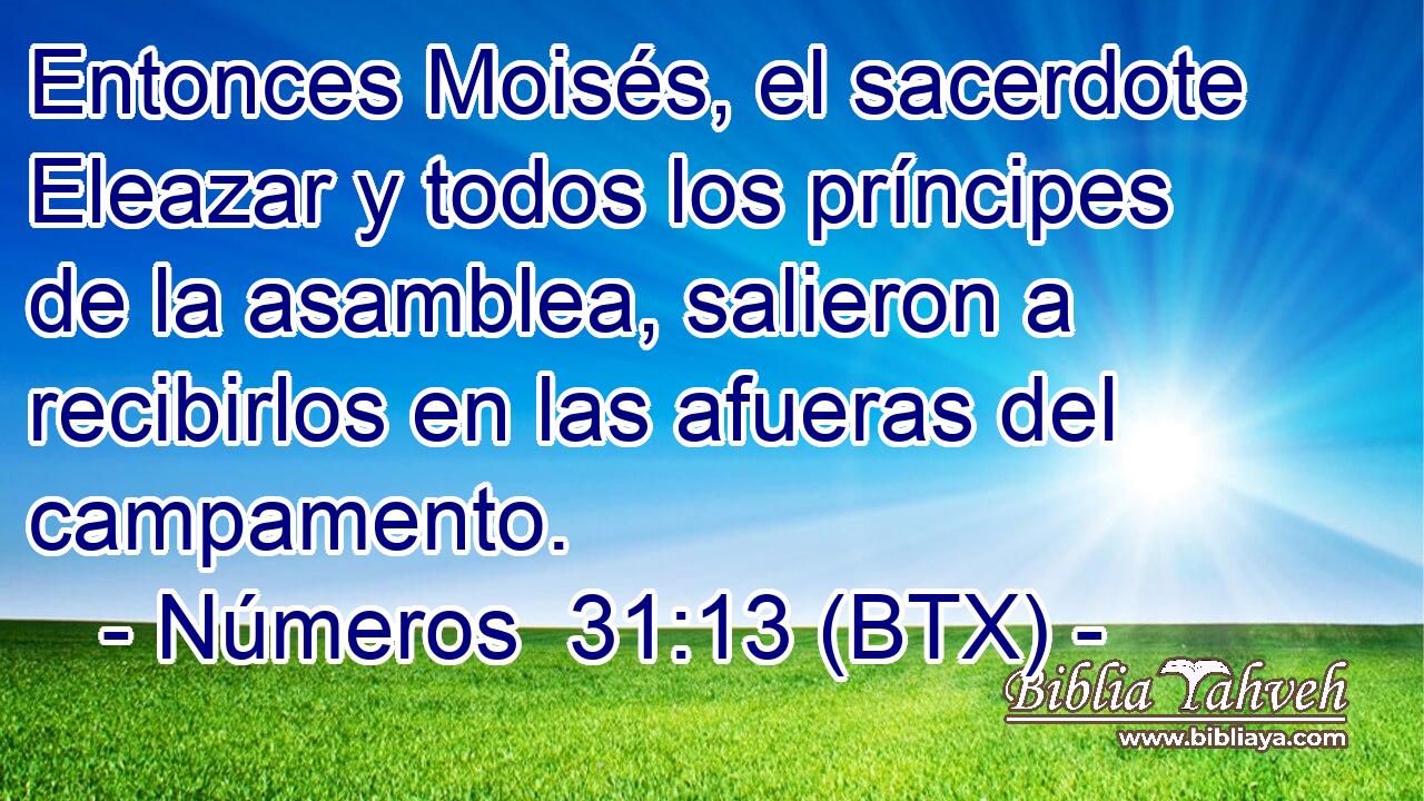 Entonces Moisés, el sacerdote Eleazar y todos los príncipes de la asamblea, salieron a recibirlos en las afueras del campamento.