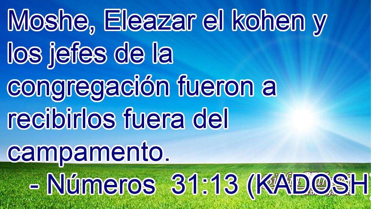  Moshe, Eleazar el kohen y los jefes de la congregación fueron a recibirlos fuera del campamento. 