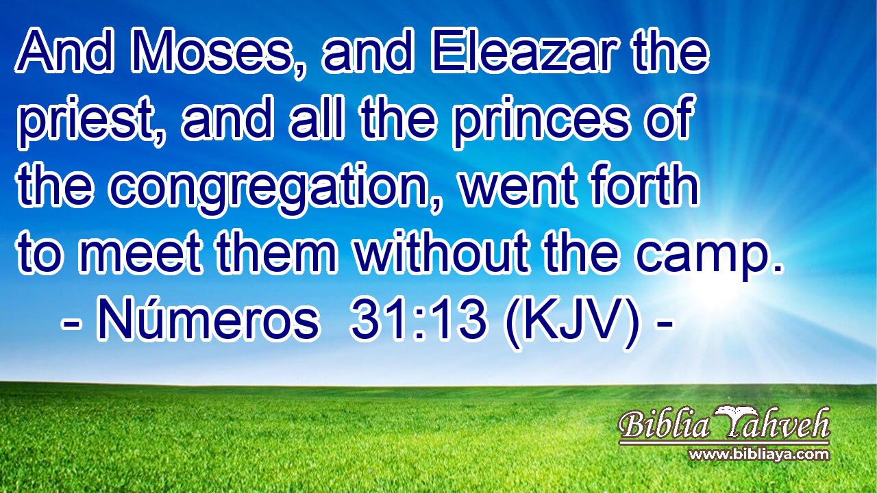 And Moses, and Eleazar the priest, and all the princes of the congregation, went forth to meet them without the camp.