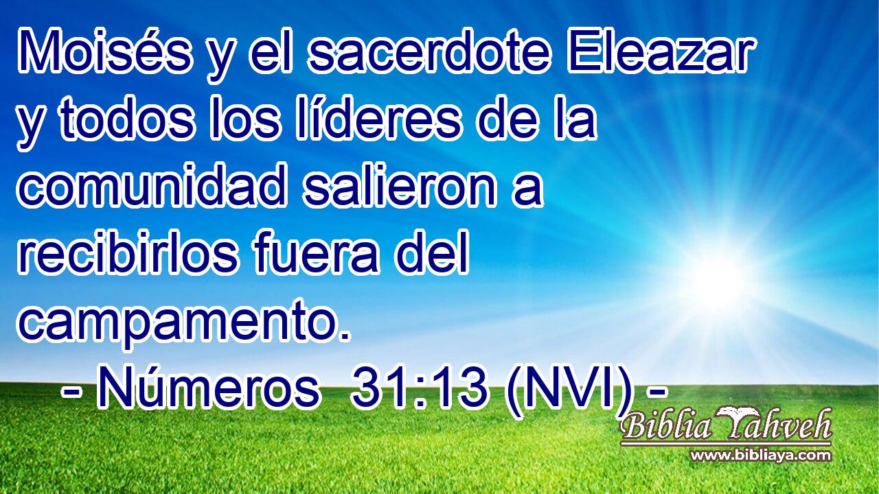  Moisés y el sacerdote Eleazar y todos los líderes de la comunidad salieron a recibirlos fuera del campamento. 