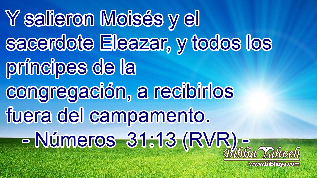 Y salieron Moisés y el sacerdote Eleazar, y todos los príncipes de la congregación, a recibirlos fuera del campamento.