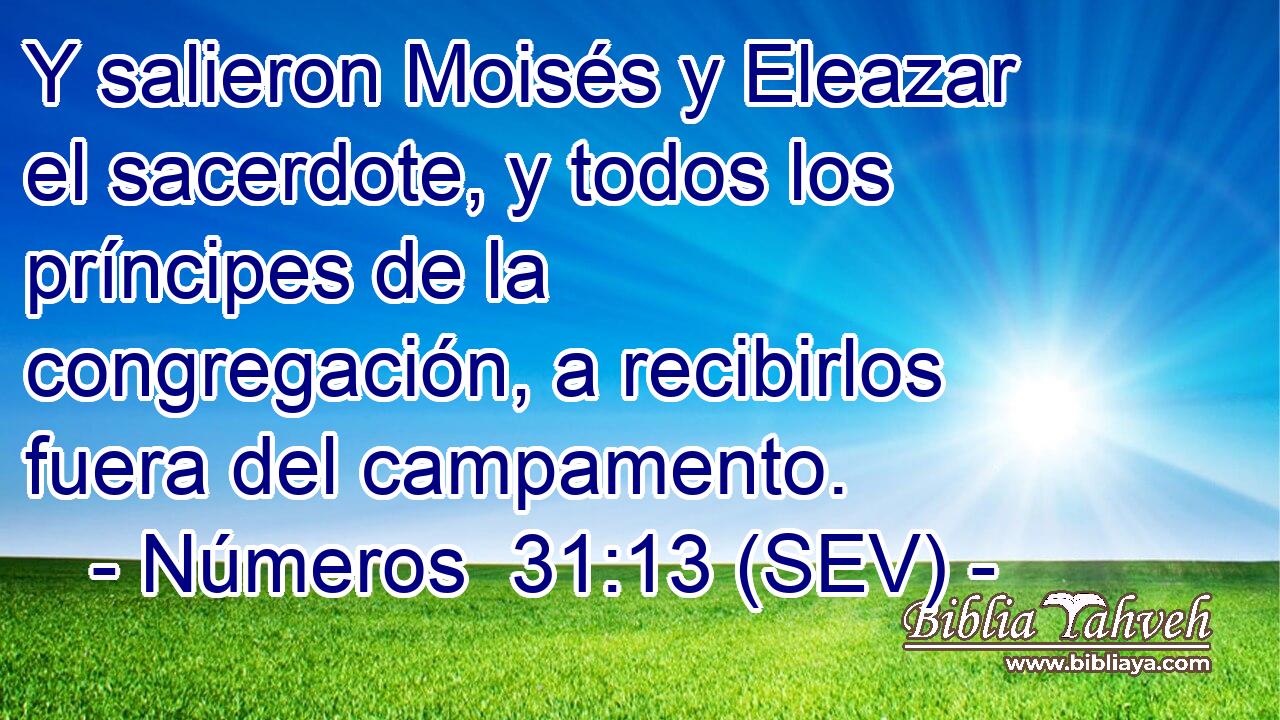 Y salieron Moisés y Eleazar el sacerdote, y todos los príncipes de la congregación, a recibirlos fuera del campamento.