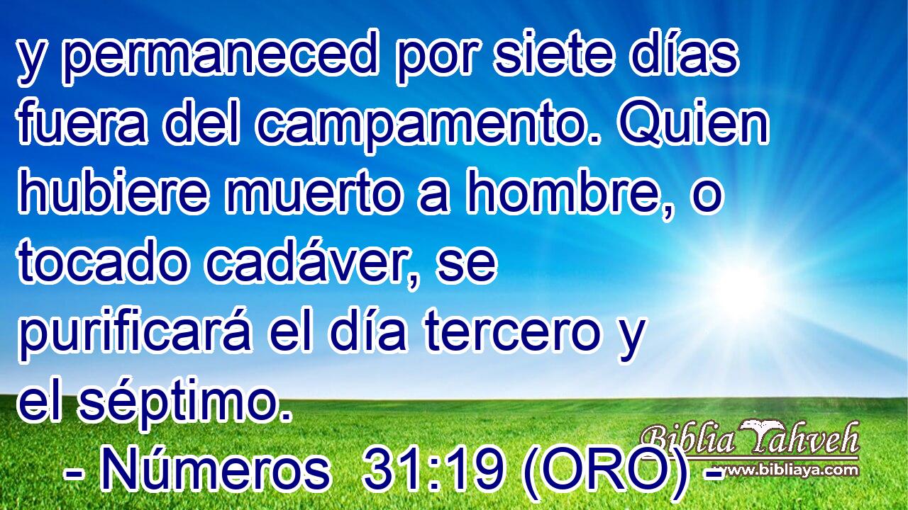  y permaneced por siete días fuera del campamento. Quien hubiere muerto a hombre, o tocado cadáver, se purificará el día tercero y el séptimo. 