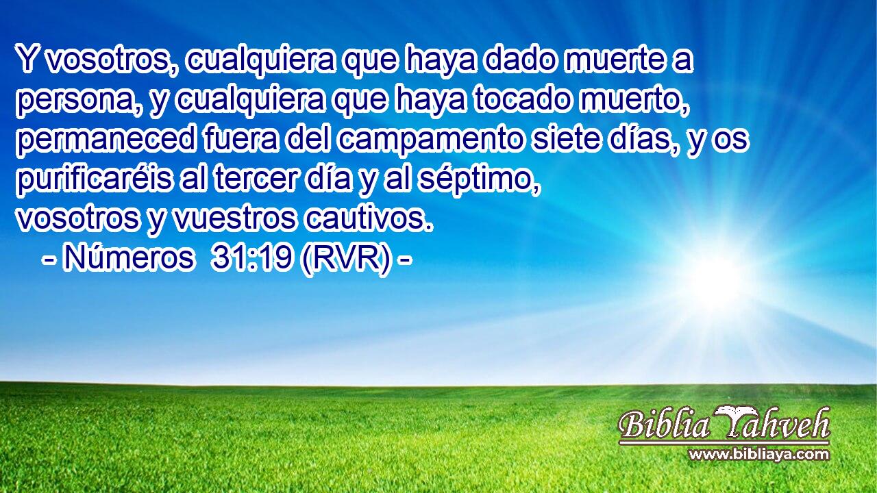 Y vosotros, cualquiera que haya dado muerte a persona, y cualquiera que haya tocado muerto, permaneced fuera del campamento siete días, y os purificaréis al tercer día y al séptimo, vosotros y vuestros cautivos.