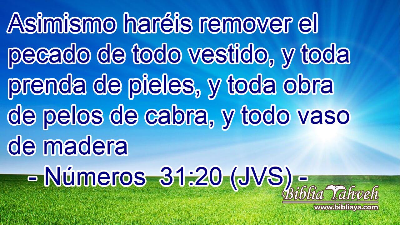 Asimismo haréis remover el pecado de todo vestido, y toda prenda de pieles, y toda obra de pelos de cabra, y todo vaso de madera