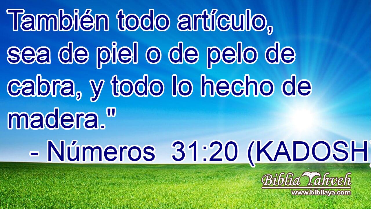  También todo artículo, sea de piel o de pelo de cabra, y todo lo hecho de madera.