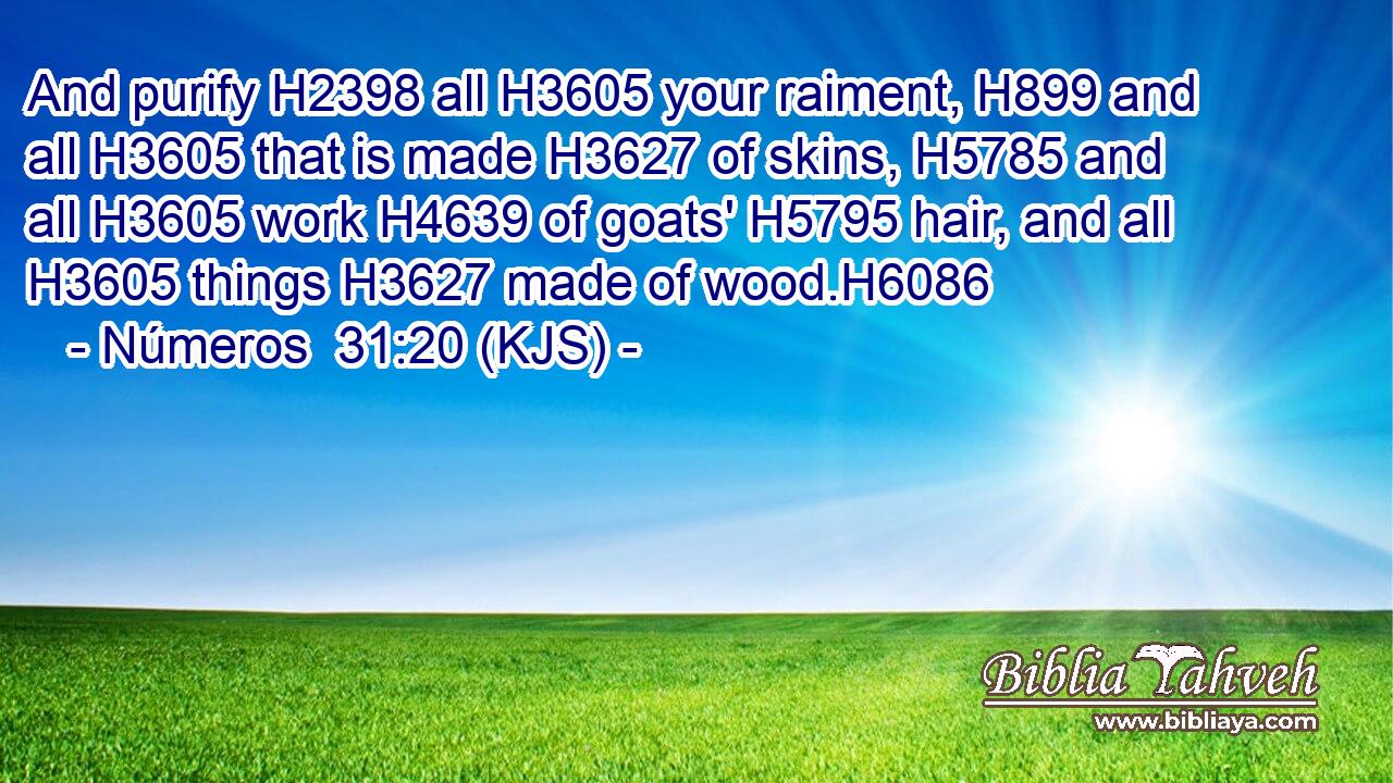 And purify H2398 all H3605 your raiment, H899 and all H3605 that is made H3627 of skins, H5785 and all H3605 work H4639 of goats' H5795 hair, and all H3605 things H3627 made of wood.H6086